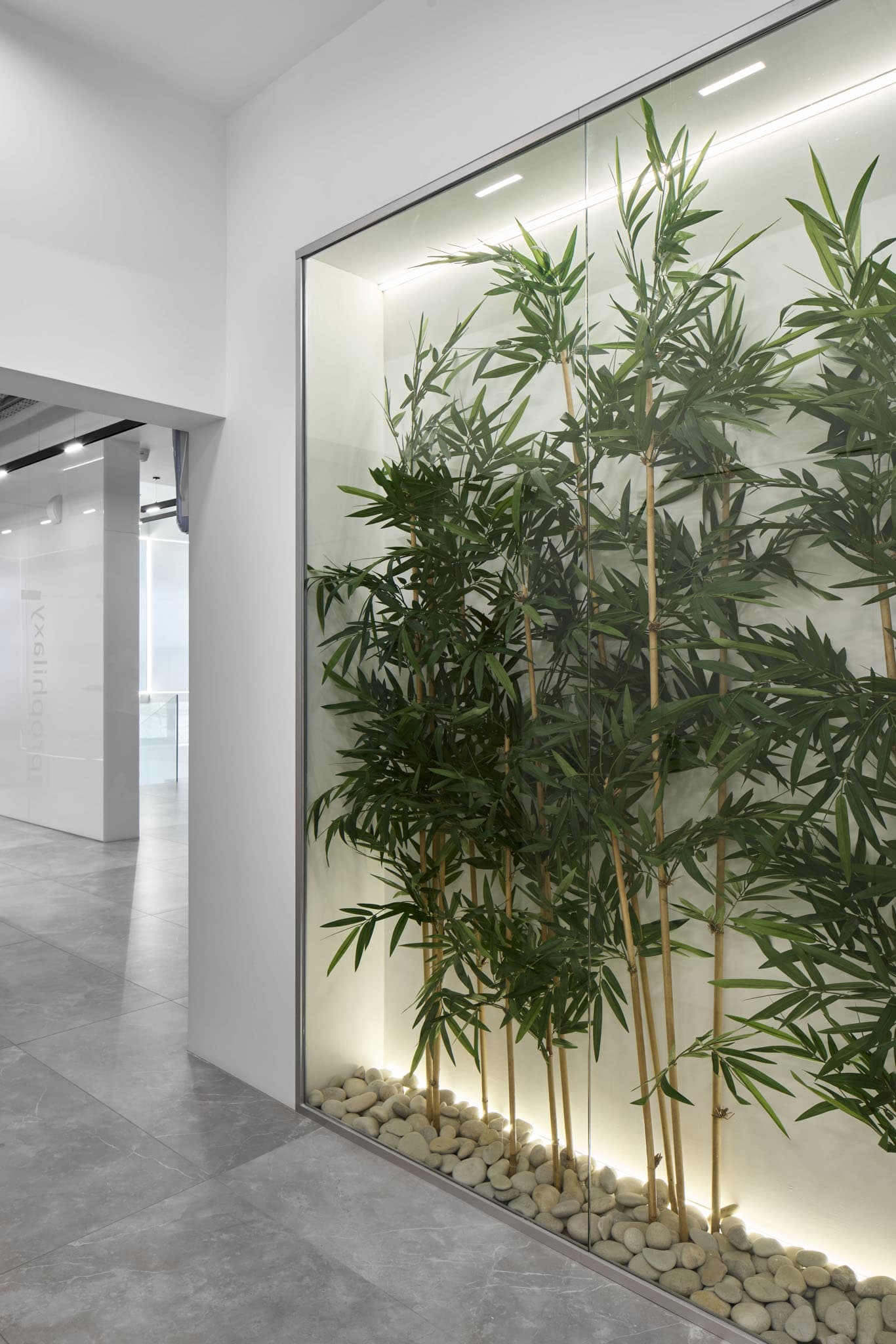 Интерьер клиники DR.KOSHAKOV Екатеринбург